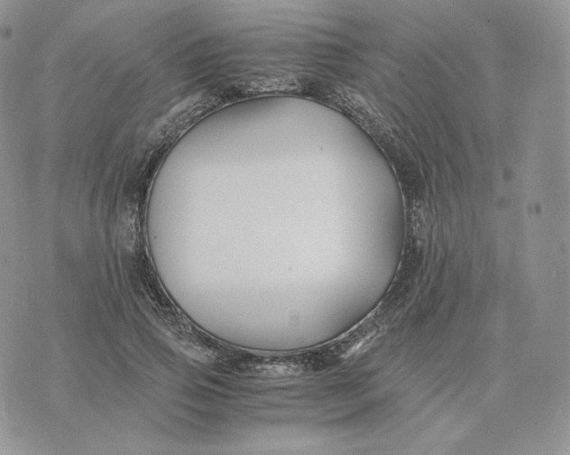 X0000075410741200609291706