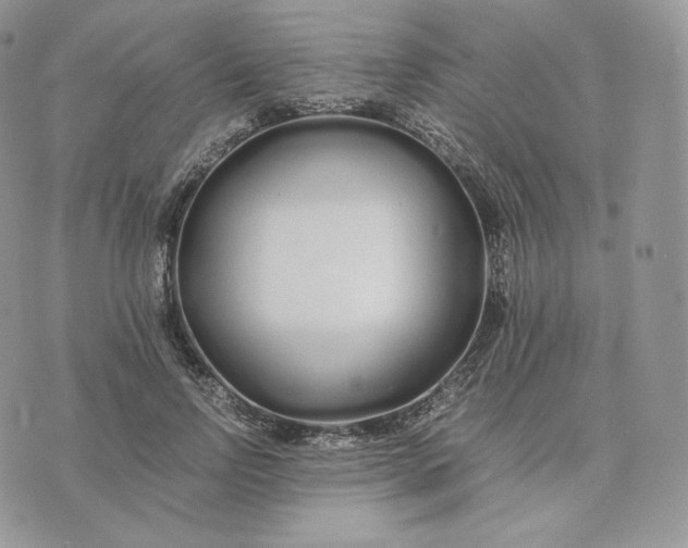 X0000075410742200609291706