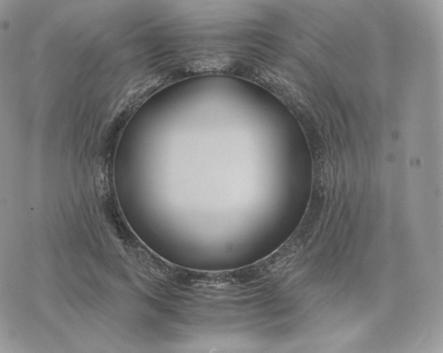 X0000075410743200609291706