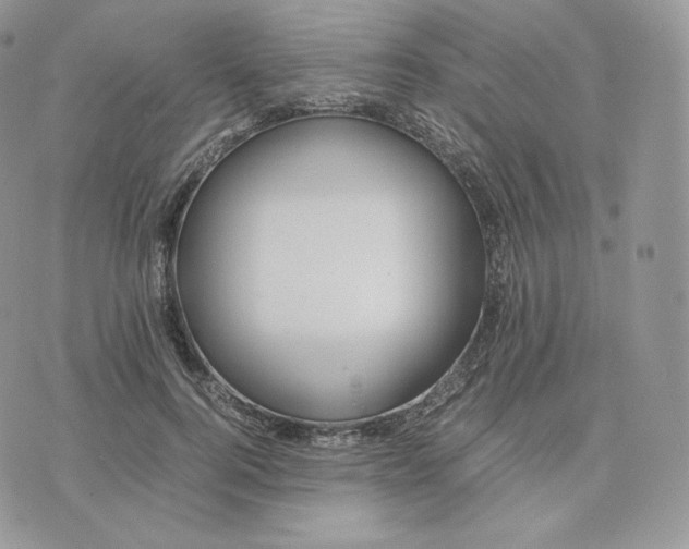 X0000075410744200609291706