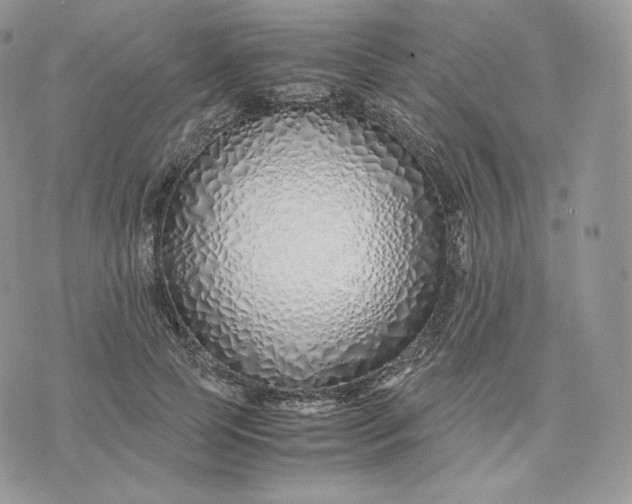 X0000075410745200609291706