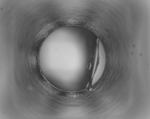 X0000075410746200609291706