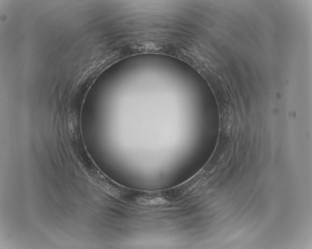 X0000075410747200609291706