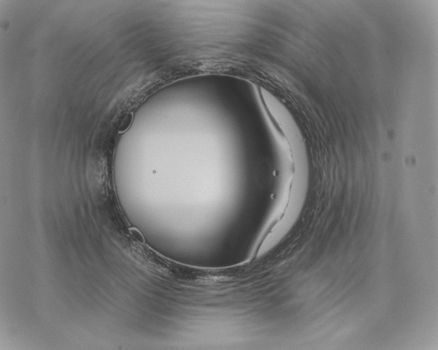 X0000075410748200609291706