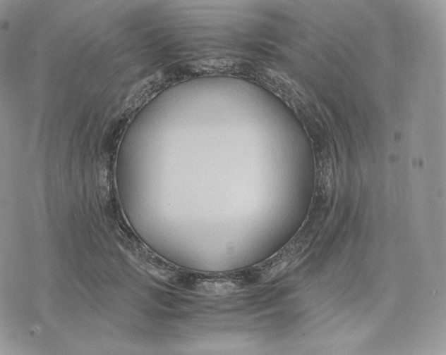 X0000075410749200609291706