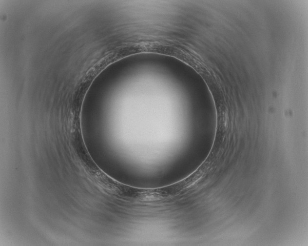 X0000075410750200609291706