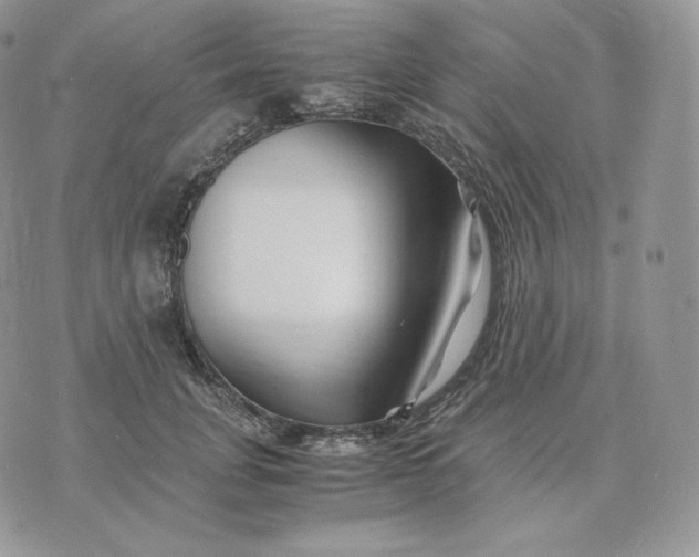 X0000075410751200609291706