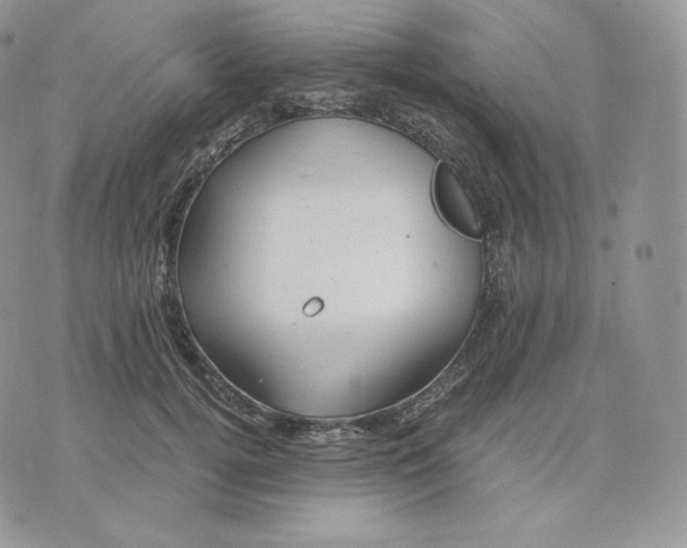 X0000075410752200609291706