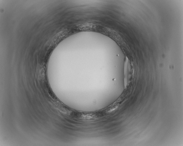 X0000075410753200609291706