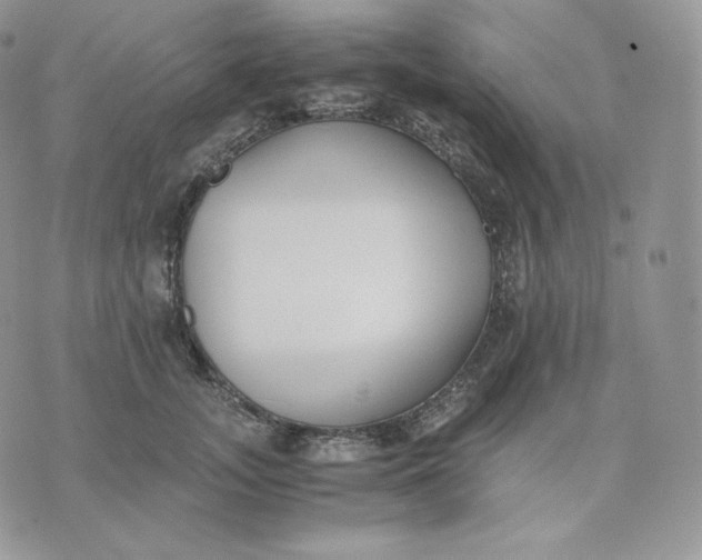 X0000075410755200609291706