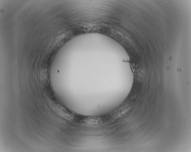 X0000075410756200609291706