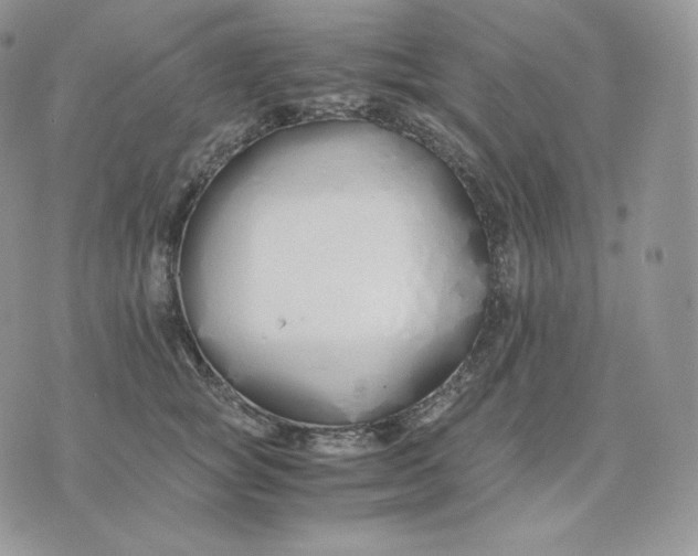 X0000075410757200609291706