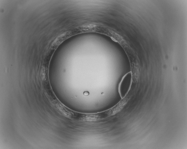 X0000075410758200609291706