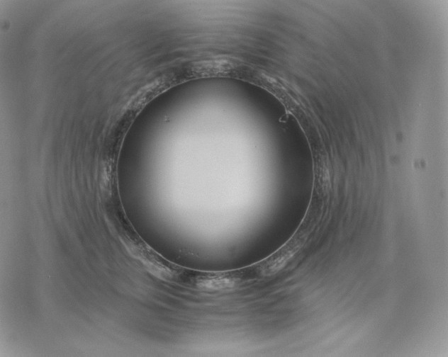 X0000075410759200609291706