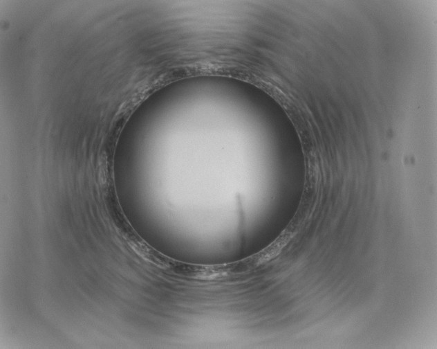 X0000075410760200609291706