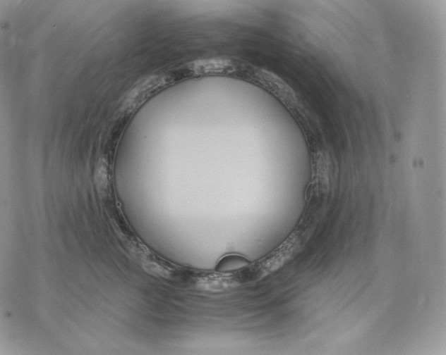 X0000075410761200609291706