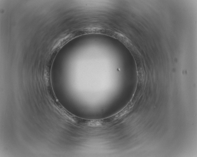 X0000075410762200609291706