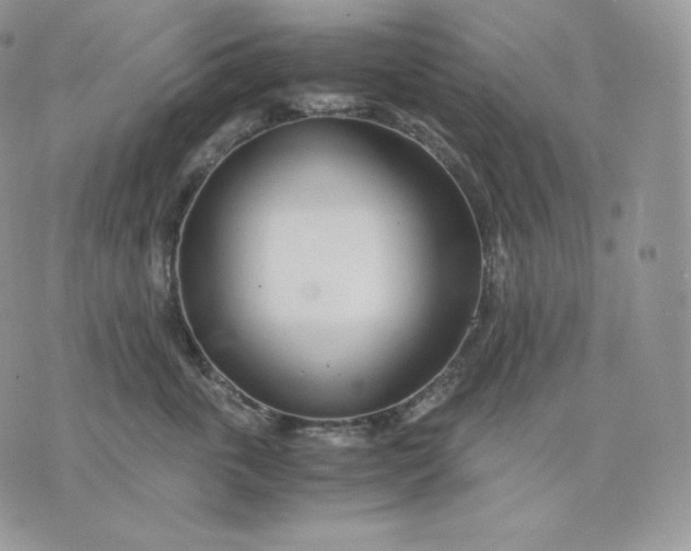 X0000075410763200609291706