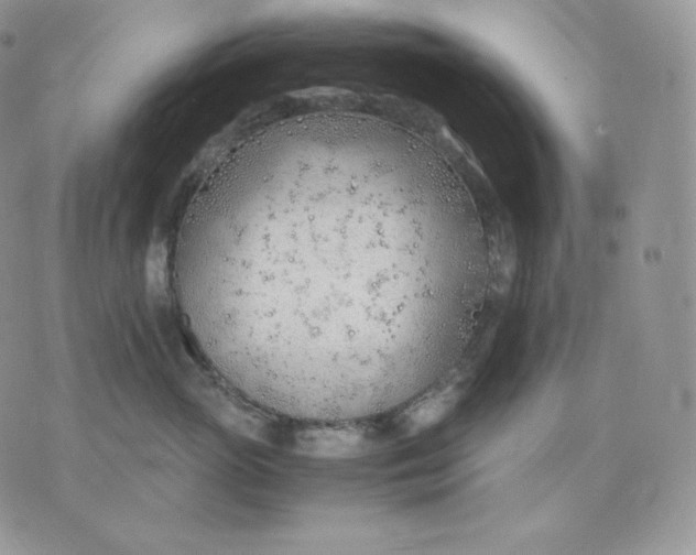 X0000075410765200609291706