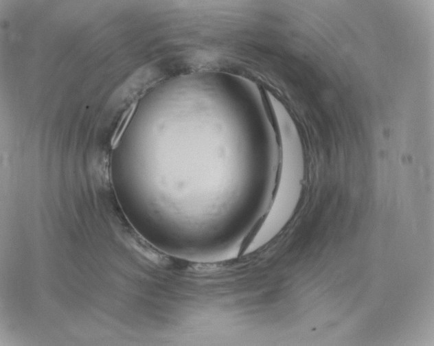 X0000075410766200609291706