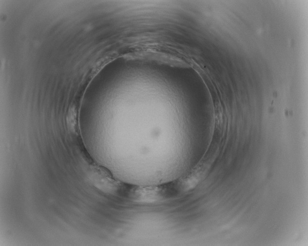 X0000075410767200609291706