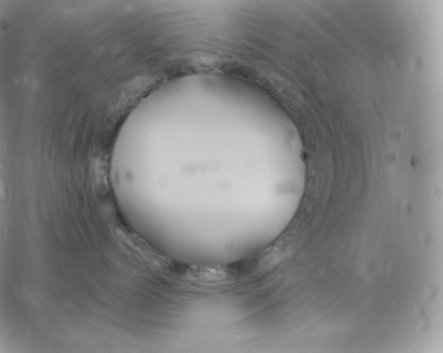 X0000075410768200609291706