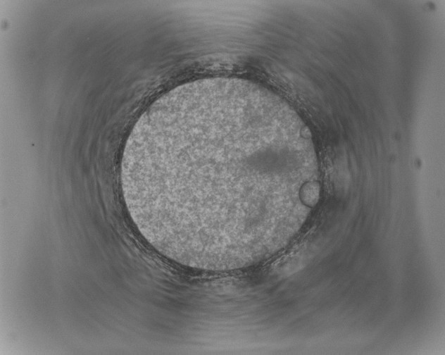 X0000075410769200609291705