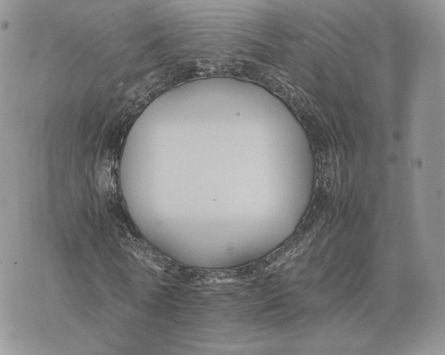 X0000075410770200609291705