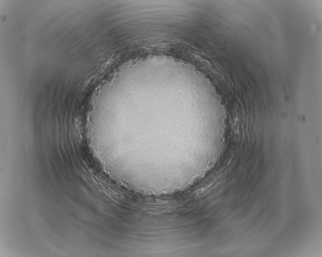 X0000075410772200609291705