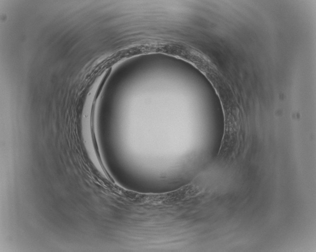 X0000075410773200609291705