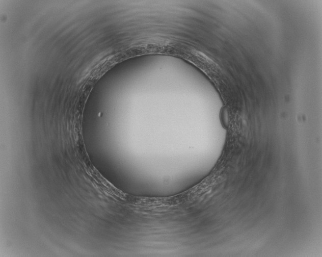 X0000075410774200609291705