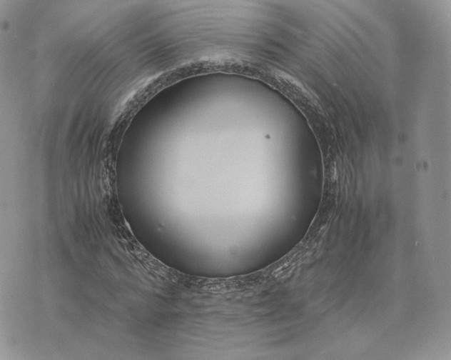 X0000075410776200609291705