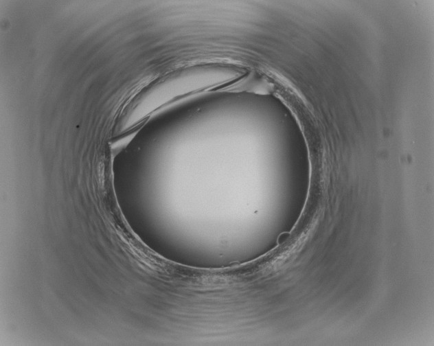 X0000075410777200609291705