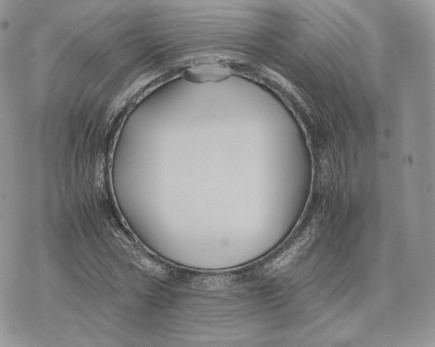 X0000075410778200609291705