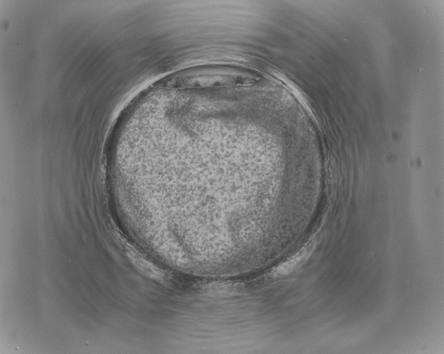 X0000075410779200609291705