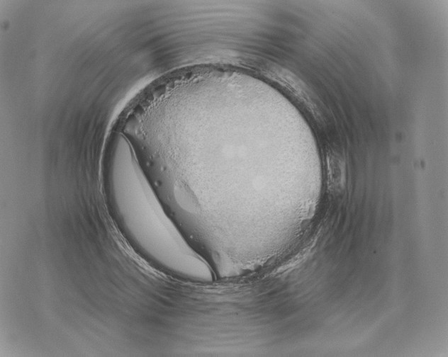 X0000075410780200609291705