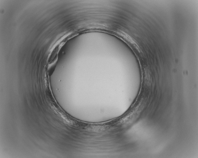 X0000075410782200609291705