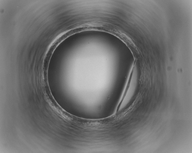 X0000075410784200609291705