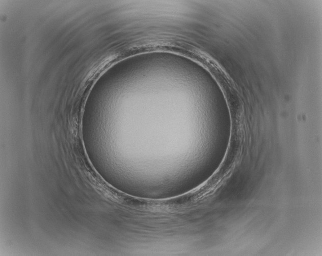 X0000075410785200609291705