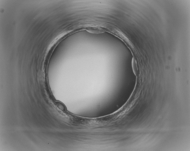 X0000075410787200609291705