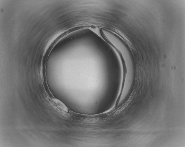 X0000075410788200609291705