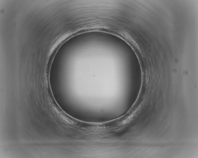 X0000075410789200609291705