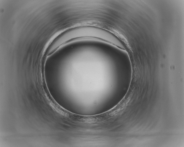 X0000075410792200609291705