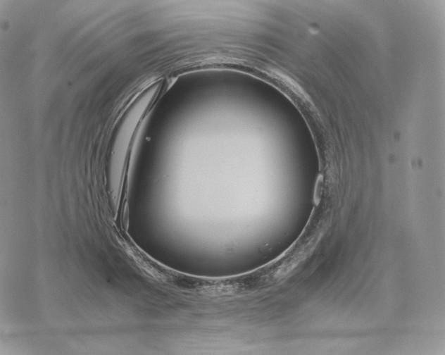 X0000075410793200609291705