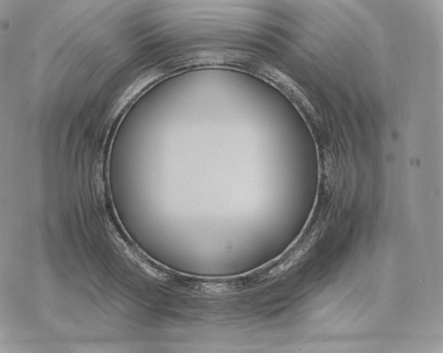 X0000075410794200609291705