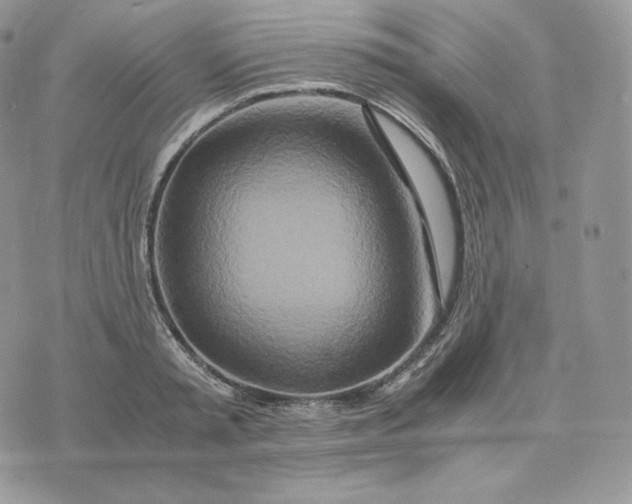 X0000075410797200609291705