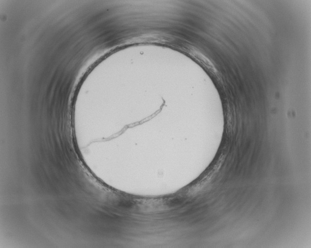 X0000075410800200609291705