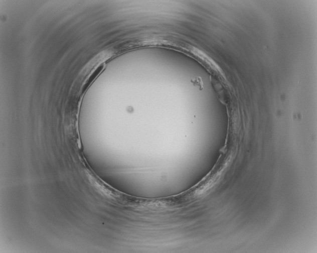 X0000075410801200609291705