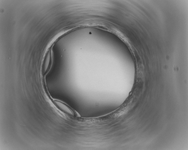 X0000075410803200609291705