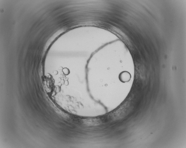 X0000075410804200609291705